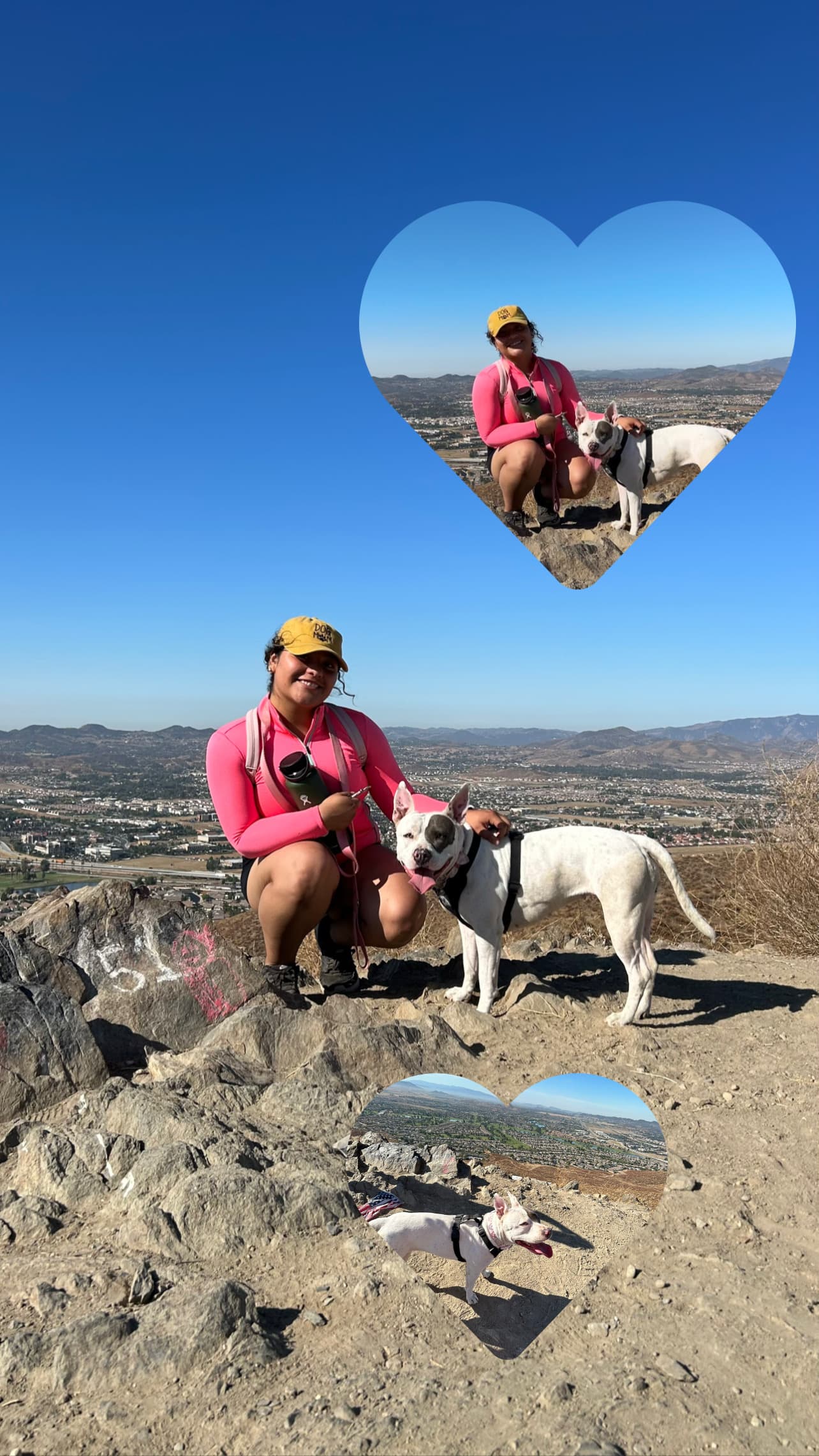 Hiking with Princess, American Staffordshire Terrier